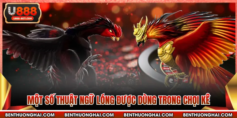 Thuật ngữ đá gà về giống nòi thi đấu